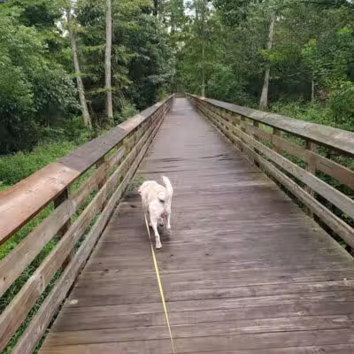 Parc des Familles Dog Park - Marrero, LA
