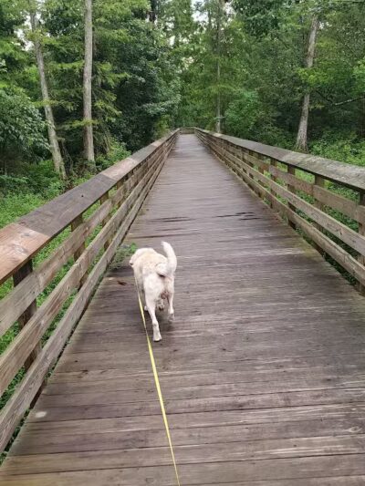 Parc des Familles Dog Park - Marrero, LA