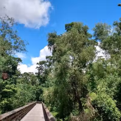 Parc des Familles Dog Park - Marrero, LA