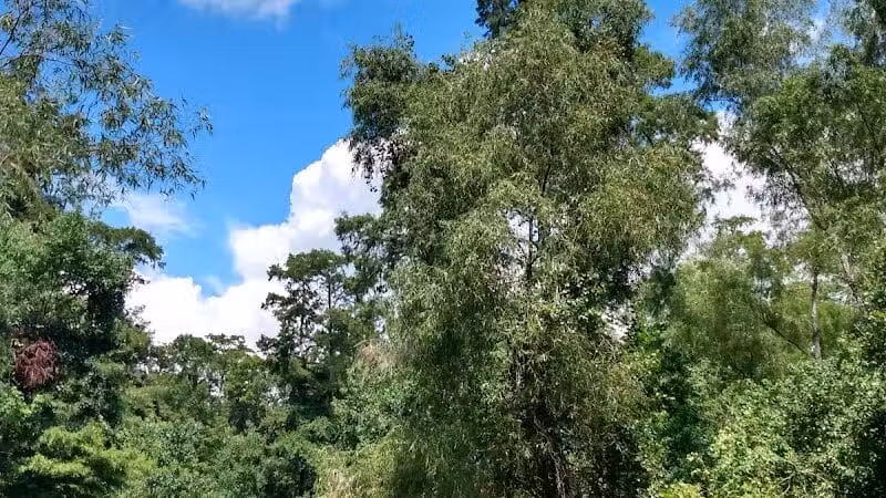 Parc des Familles Dog Park - Marrero, LA