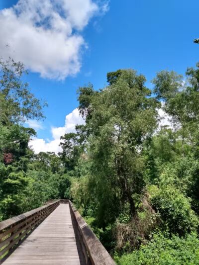 Parc des Familles Dog Park - Marrero, LA