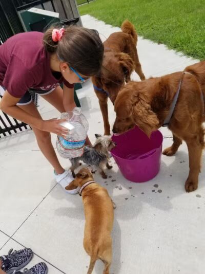 Parc des Familles Dog Park - Marrero, LA