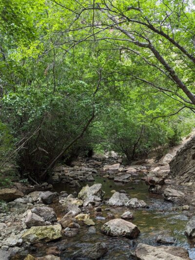 Jump Creek Falls Trail Head