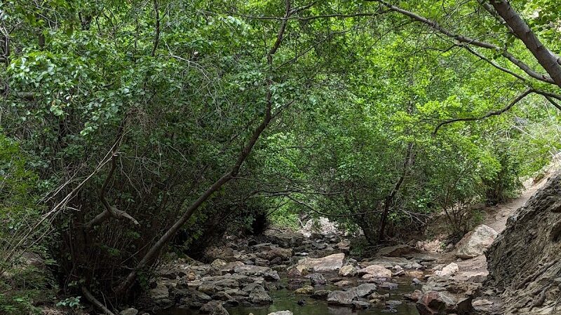 Jump Creek Falls Trail Head