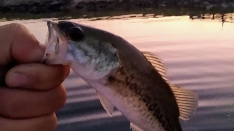 Gabion Park - Marthasville, MO