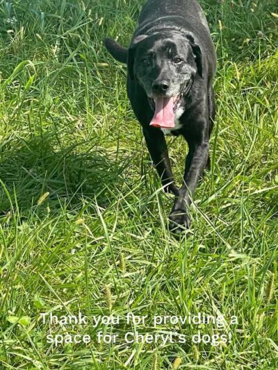 Iron Nail Ranch SniffSpot - Marthasville, MO