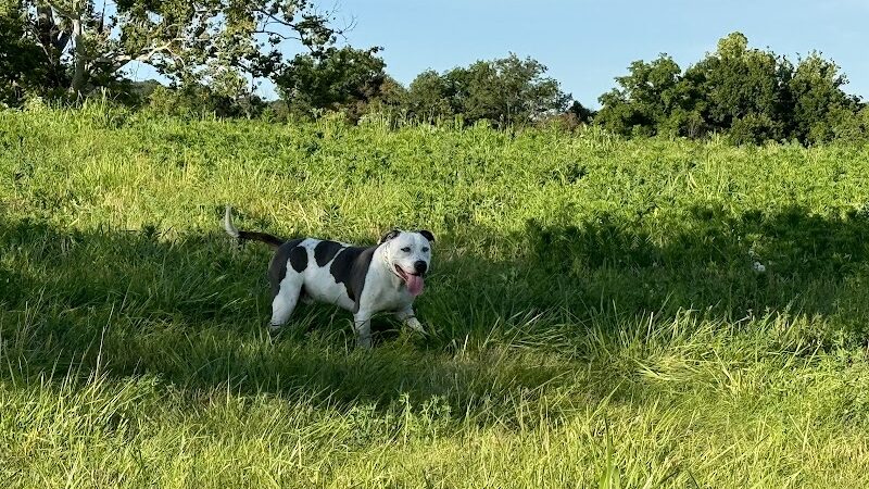 Iron Nail Ranch SniffSpot - Marthasville, MO