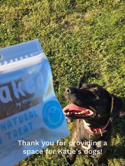 Iron Nail Ranch SniffSpot - Marthasville, MO