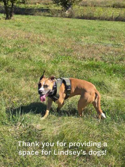 Iron Nail Ranch SniffSpot - Marthasville, MO