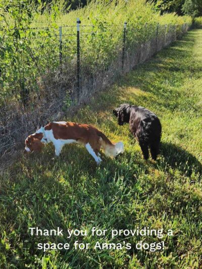 Iron Nail Ranch SniffSpot - Marthasville, MO