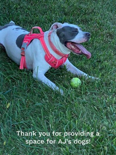 Iron Nail Ranch SniffSpot - Marthasville, MO