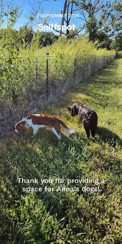 Iron Nail Ranch SniffSpot - Marthasville, MO