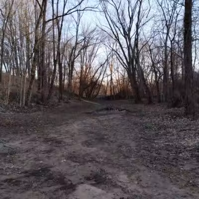 The Woodlands - Martinsville, IL