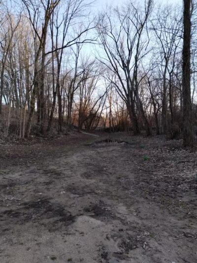 The Woodlands - Martinsville, IL