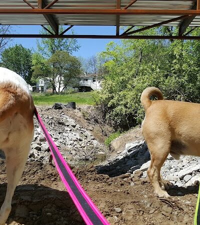 Dogport Dog Park - Maryland Heights, MO