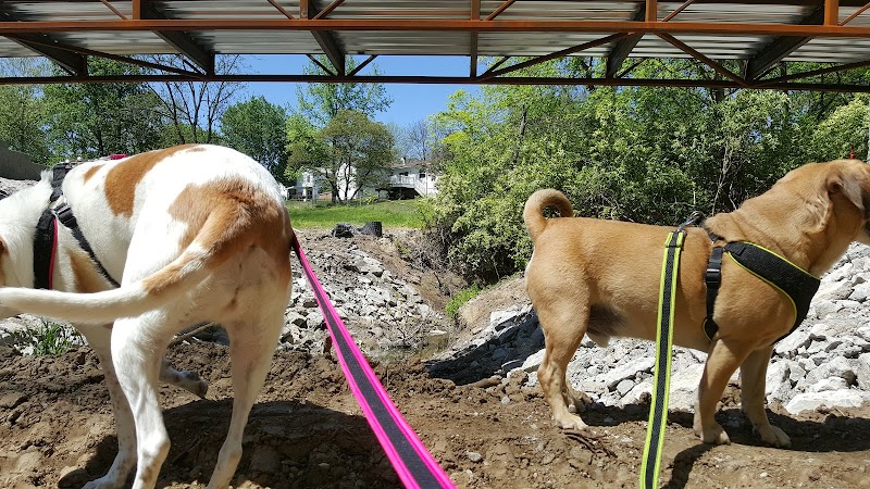 Dogport Dog Park - Maryland Heights, MO