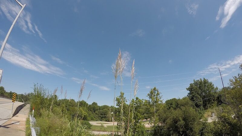 Dogport Dog Park - Maryland Heights, MO