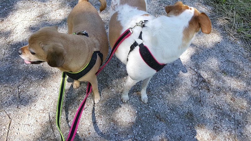 Dogport Dog Park - Maryland Heights, MO