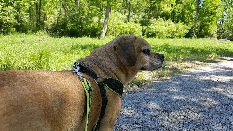 Dogport Dog Park - Maryland Heights, MO