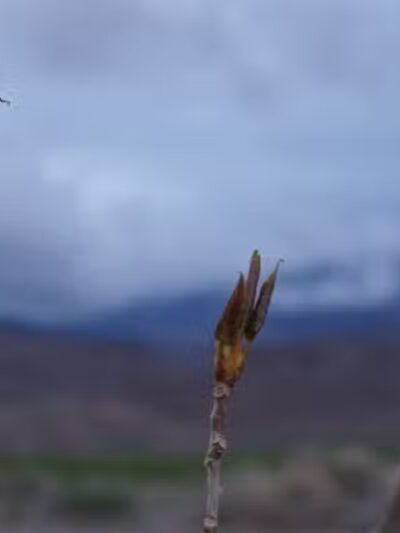 Marysvale RV Park - Marysvale, UT