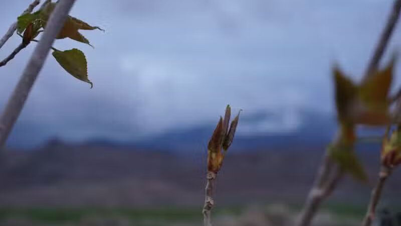 Marysvale RV Park - Marysvale, UT