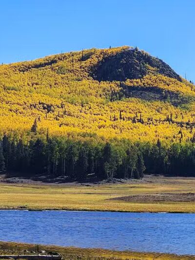Manning Meadow CUA Dispersed - Marysvale, UT