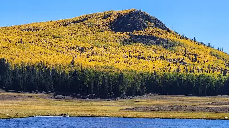 Manning Meadow CUA Dispersed - Marysvale, UT