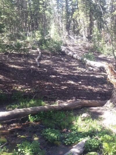 Manning Meadow CUA Dispersed - Marysvale, UT