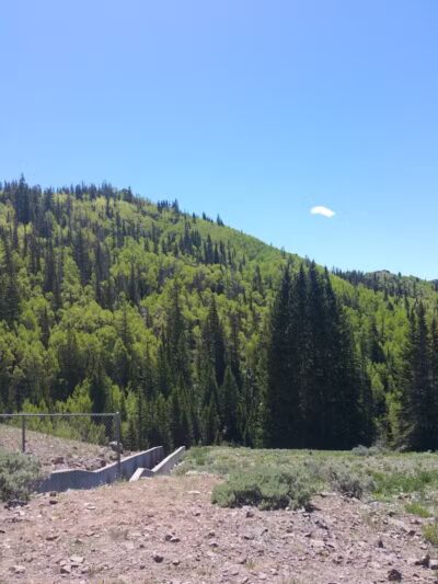 Manning Meadow CUA Dispersed - Marysvale, UT