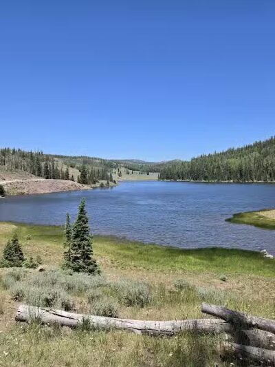 Manning Meadow CUA Dispersed - Marysvale, UT