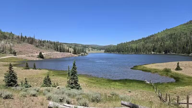 Manning Meadow CUA Dispersed - Marysvale, UT