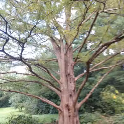 Nature Park - Maryville, MO