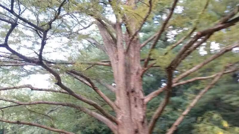 Nature Park - Maryville, MO