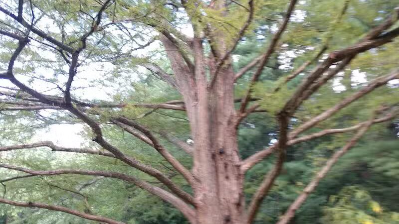 Nature Park - Maryville, MO