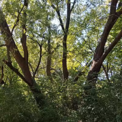 Nature Park - Maryville, MO