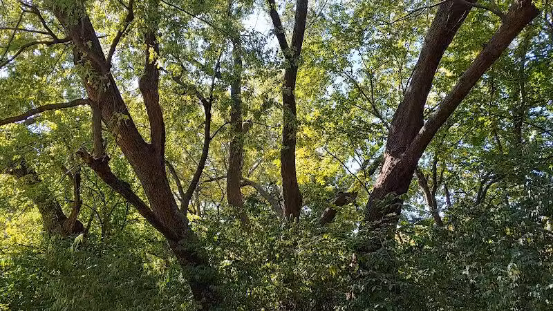 Nature Park - Maryville, MO