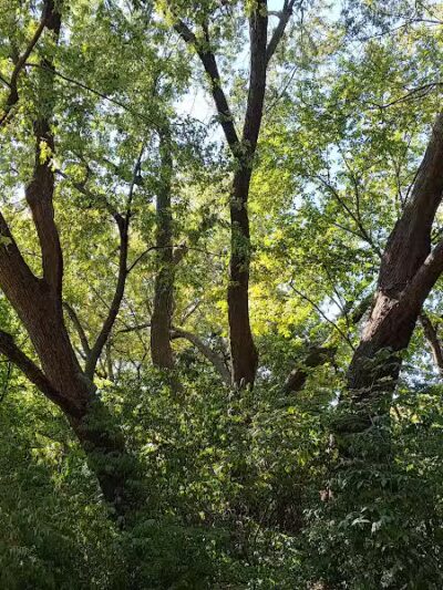 Nature Park - Maryville, MO