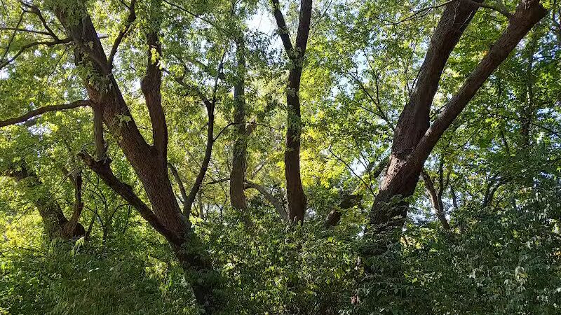 Nature Park - Maryville, MO