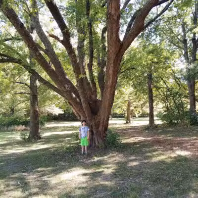 Nature Park - Maryville, MO