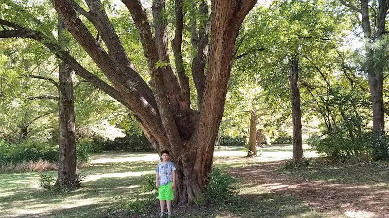 Nature Park - Maryville, MO