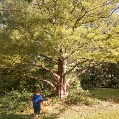 Nature Park - Maryville, MO
