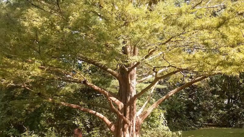 Nature Park - Maryville, MO