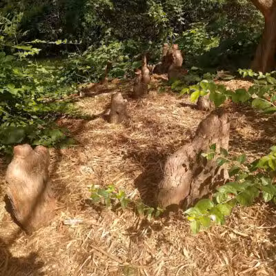 Nature Park - Maryville, MO