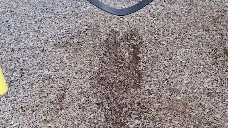 Thomson Splash ‘N’ Play - Maryville, MO