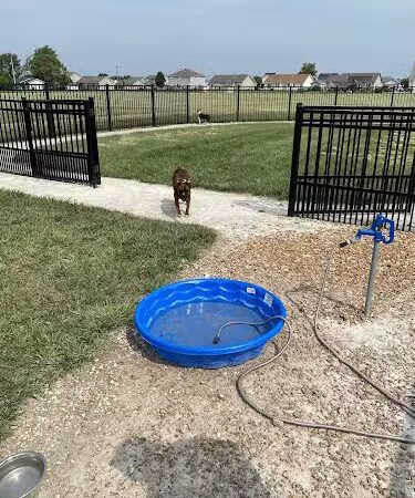 Mascoutah Dog Park - Mascoutah, IL