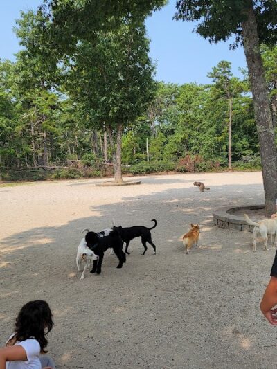 Mashpee Dog Park - Mashpee, MA