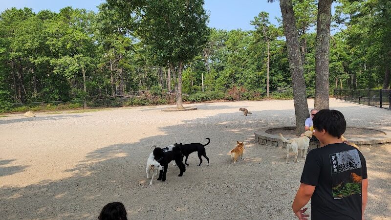 Mashpee Dog Park - Mashpee, MA
