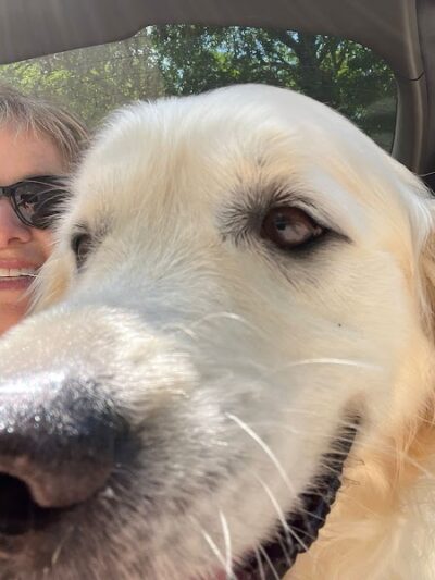 Mashpee Dog Park - Mashpee, MA