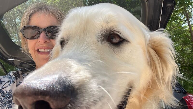 Mashpee Dog Park - Mashpee, MA