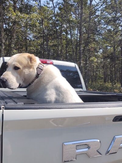 Mashpee Dog Park - Mashpee, MA